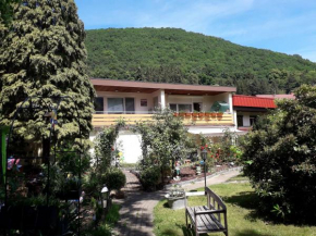 Отель Ferienwohnung Badenweiler  Баденвайлер
